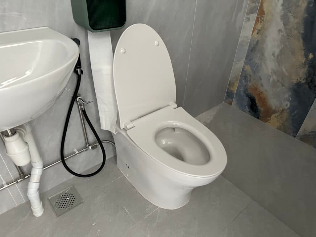 Toilet Bowl Replacement & Installation