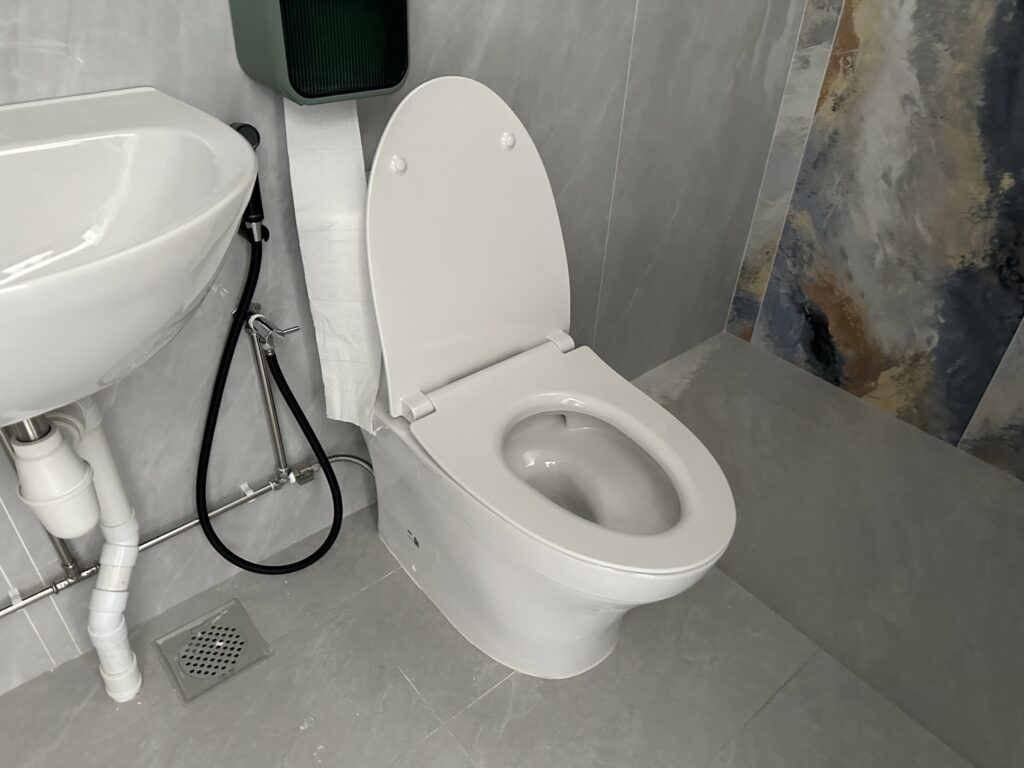 Toilet Bowl Replacement And Installation Service